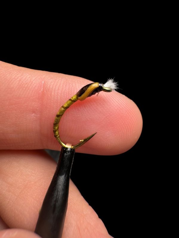Muskie Buzzer chironomid pattern — Eleven Mile Reservoir's active-hatch fly in 8-12ft east-bank coves