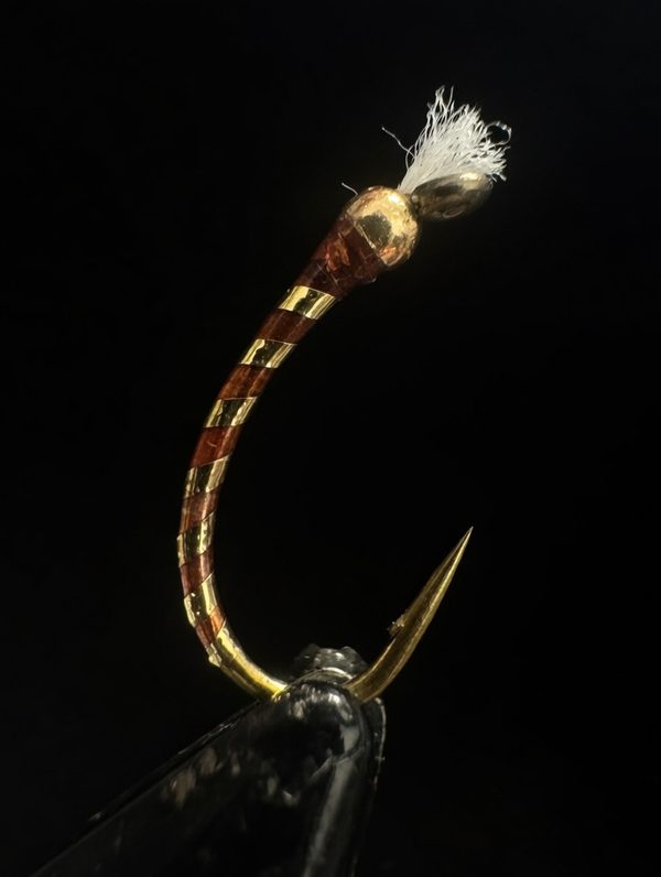 Chocolate Gold chironomid pattern — the go-to fly at Spinney Mountain Reservoir for trophy rainbows and cutbows
