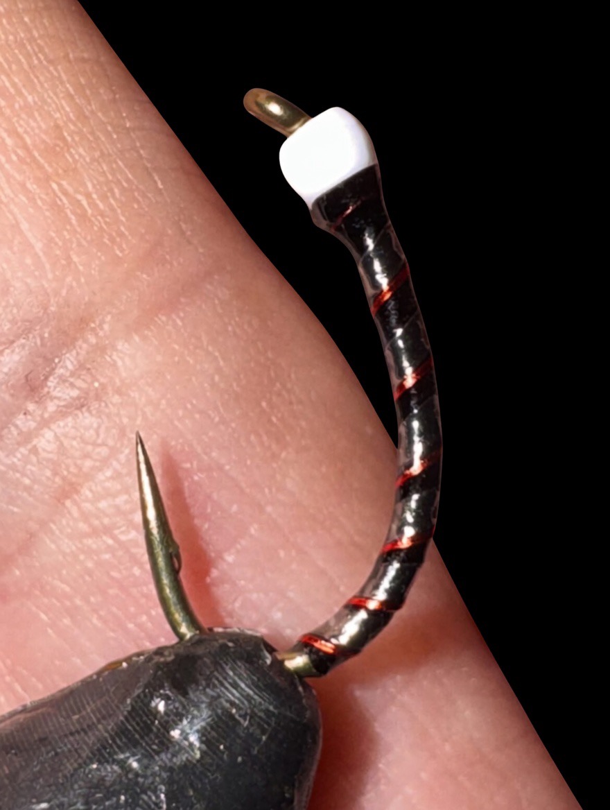 Frank's Red Hot Ronnie 2.0 — Trout Tricks Colorado stillwater fly pattern