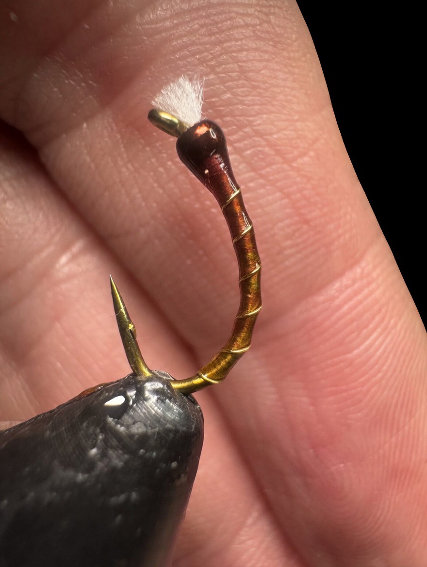 Rusty Duck — Trout Tricks Colorado stillwater fly pattern