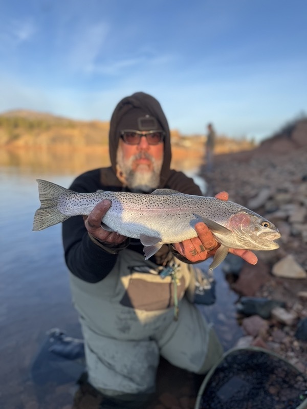Stillwater brown trout — Delaney Buttes Colorado fly fishing