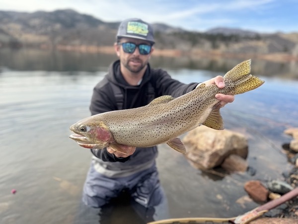 Colorado trophy trout caught on hand-tied chironomid pattern