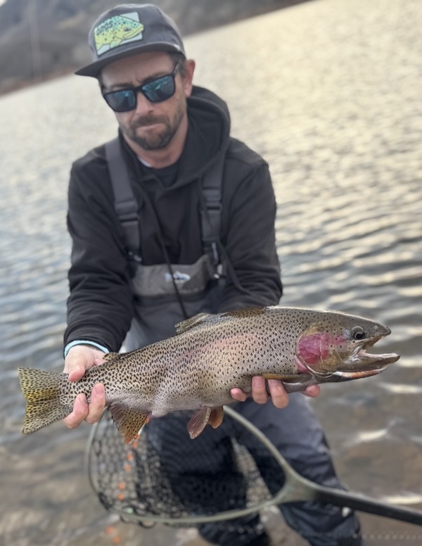 Trophy trout — indicator fly fishing Colorado stillwater