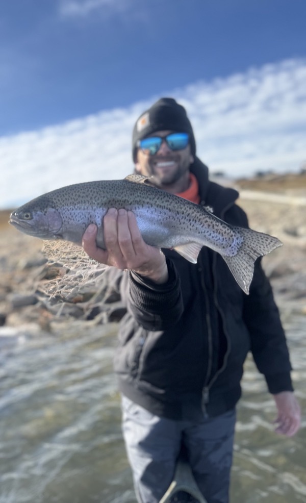 Colorado rainbow trout — hand-tied chironomid fly pattern