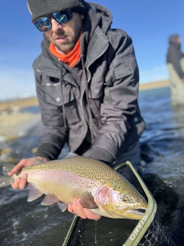 Trophy stillwater trout — Trout Tricks Colorado