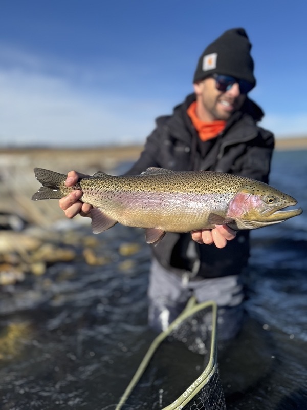 Trophy rainbow trout — Colorado stillwater fly fishing