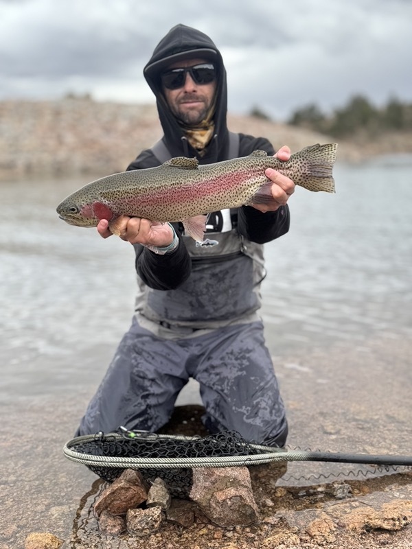 Stillwater rainbow trout — balanced leech Colorado fly fishing