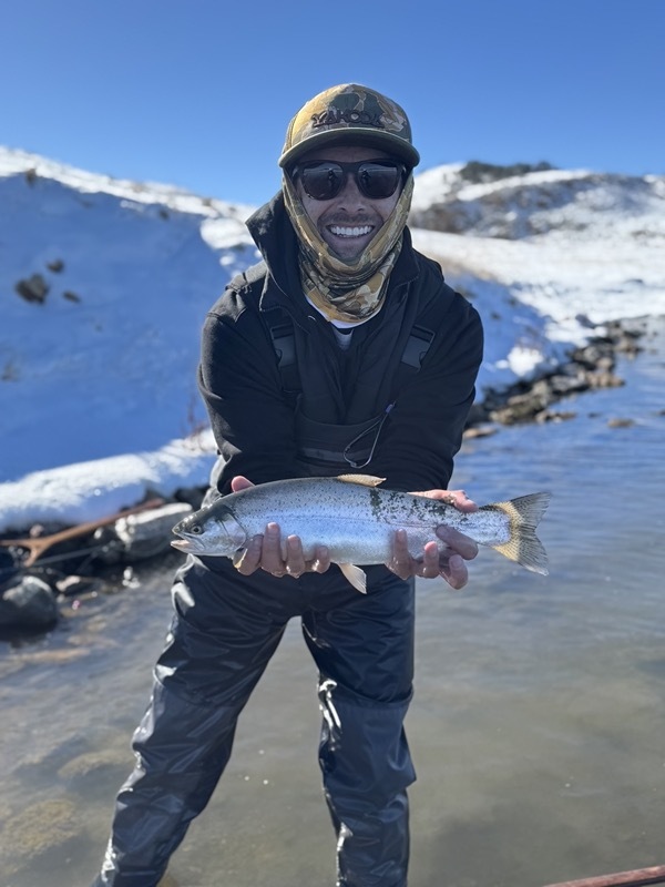 Spinney Mountain rainbow trout — Colorado stillwater fly fishing