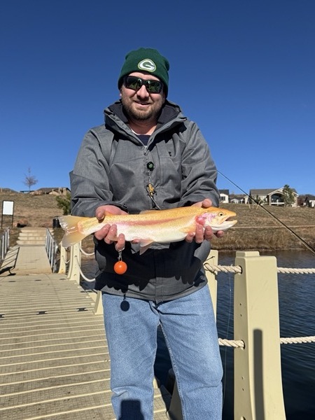 Rainbow trout fly fishing — 11 Mile Reservoir Colorado stillwater