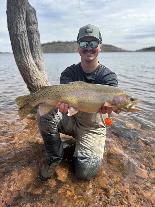 Stillwater brown trout — Delaney Buttes Colorado fly fishing