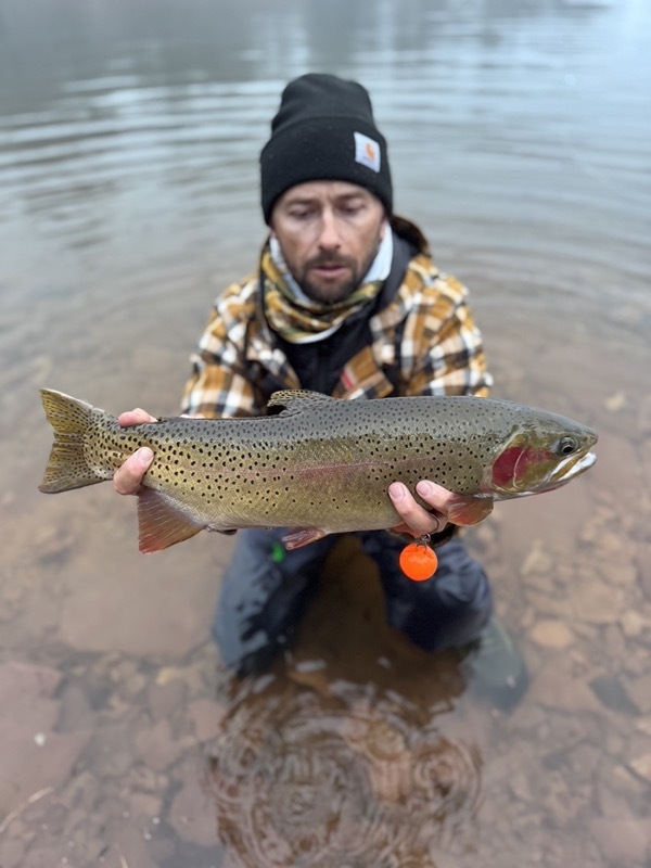 Lake John rainbow trout — North Park Colorado stillwater