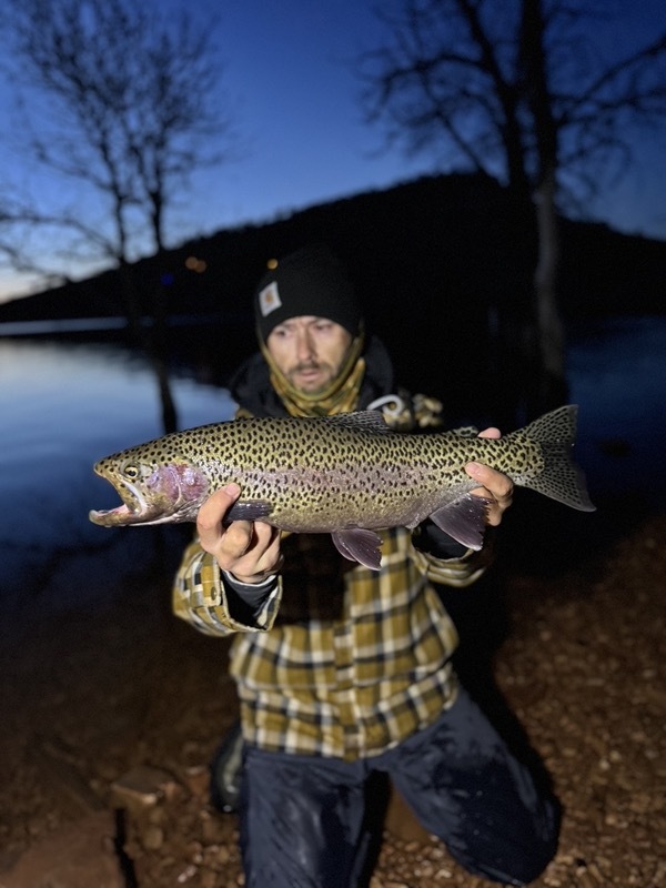 Stillwater rainbow trout — balanced leech Colorado fly fishing