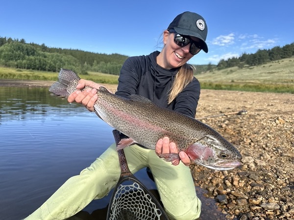 Spinney Mountain rainbow trout — Colorado stillwater fly fishing