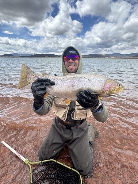 Wyoming stillwater brown trout fly fishing