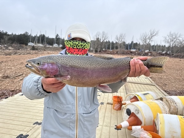 Brown trout caught on chironomid — Spinney Mountain Reservoir Colorado