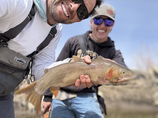 Spinney Mountain rainbow trout — Colorado stillwater fly fishing