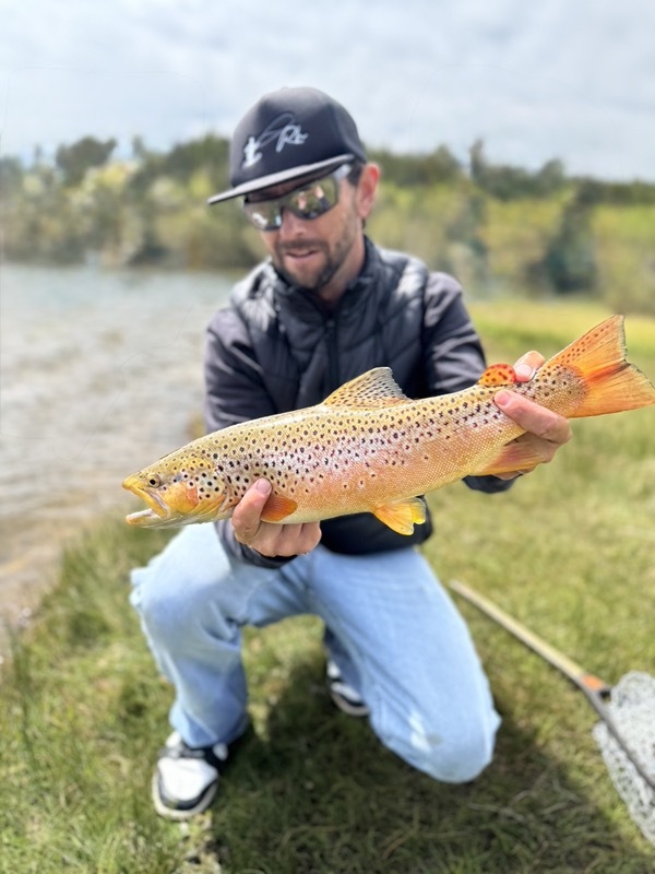 Colorado rainbow trout — hand-tied chironomid fly pattern