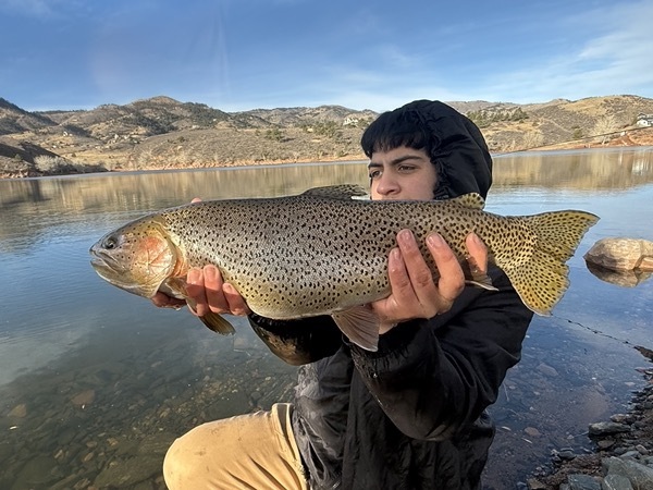 Spinney Mountain rainbow trout — Colorado stillwater fly fishing
