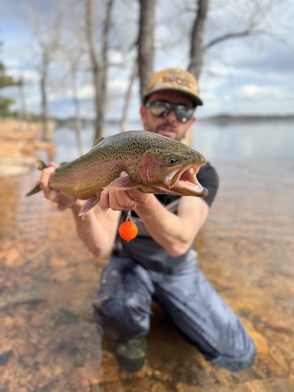Colorado rainbow trout — hand-tied chironomid fly pattern