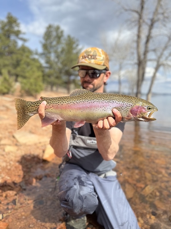 Trophy stillwater trout — Trout Tricks Colorado