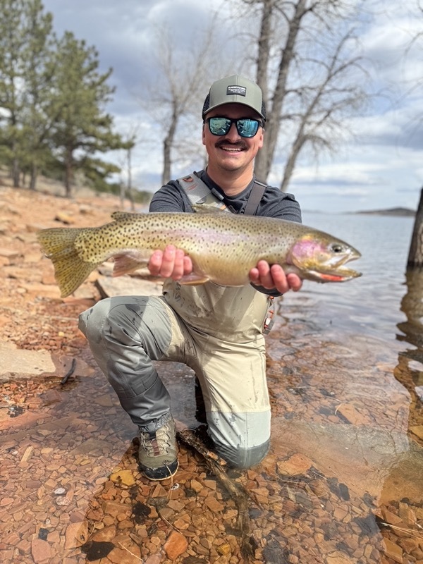Brown trout caught on chironomid — Spinney Mountain Reservoir Colorado