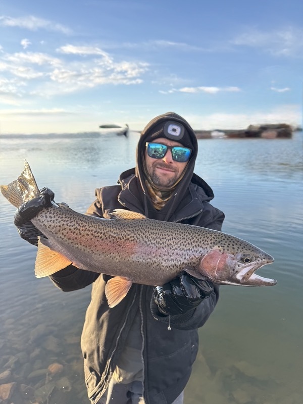 Stillwater brown trout — Delaney Buttes Colorado fly fishing