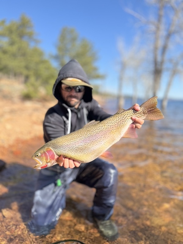 Colorado trophy trout caught on hand-tied chironomid pattern
