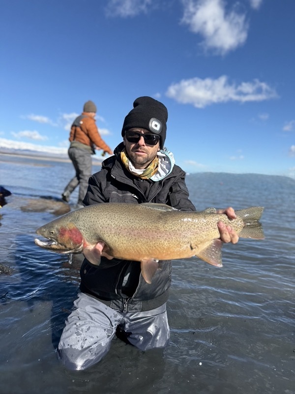 Stillwater rainbow trout — balanced leech Colorado fly fishing