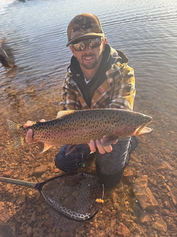 Spinney Mountain rainbow trout — Colorado stillwater fly fishing