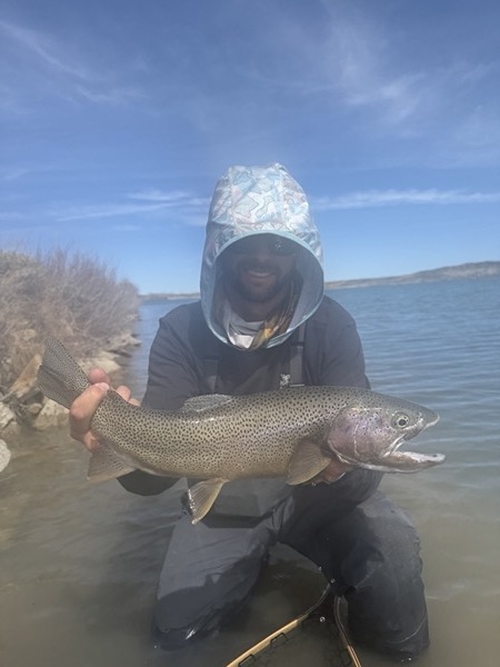 Trophy stillwater trout — Trout Tricks Colorado
