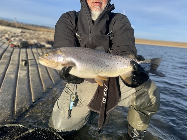 Stillwater rainbow trout — balanced leech Colorado fly fishing