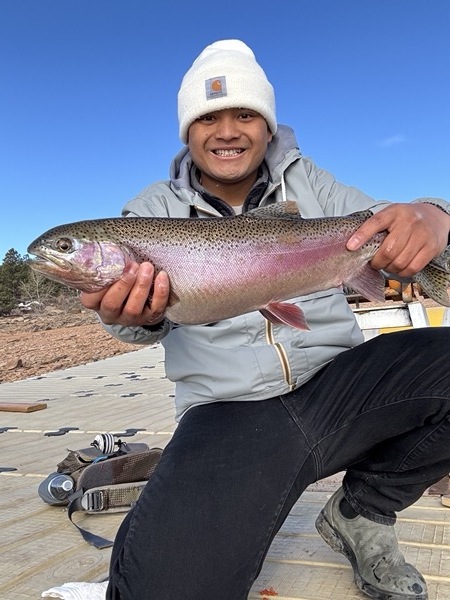 Stillwater brown trout — Delaney Buttes Colorado fly fishing