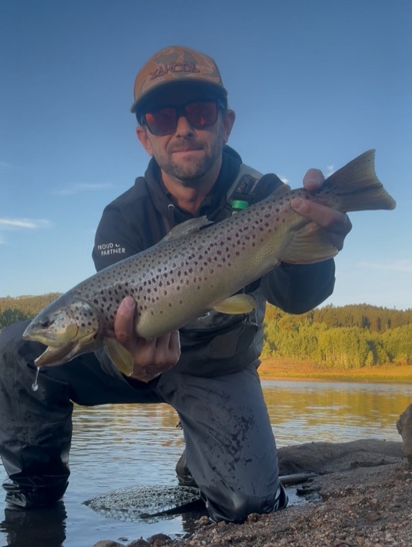 Spinney Mountain rainbow trout — Colorado stillwater fly fishing