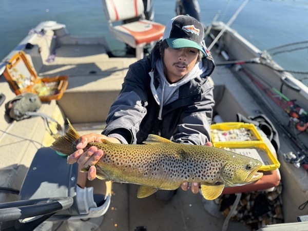 Trophy stillwater trout — Trout Tricks Colorado