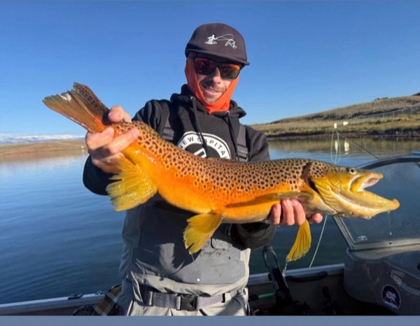 Trophy rainbow trout — Colorado stillwater fly fishing