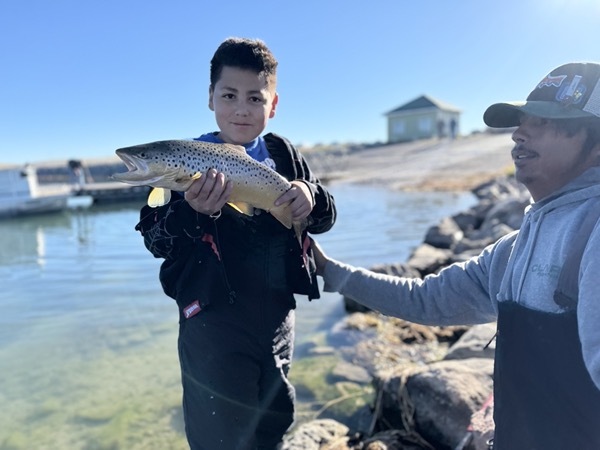 Brown trout caught on chironomid — Spinney Mountain Reservoir Colorado