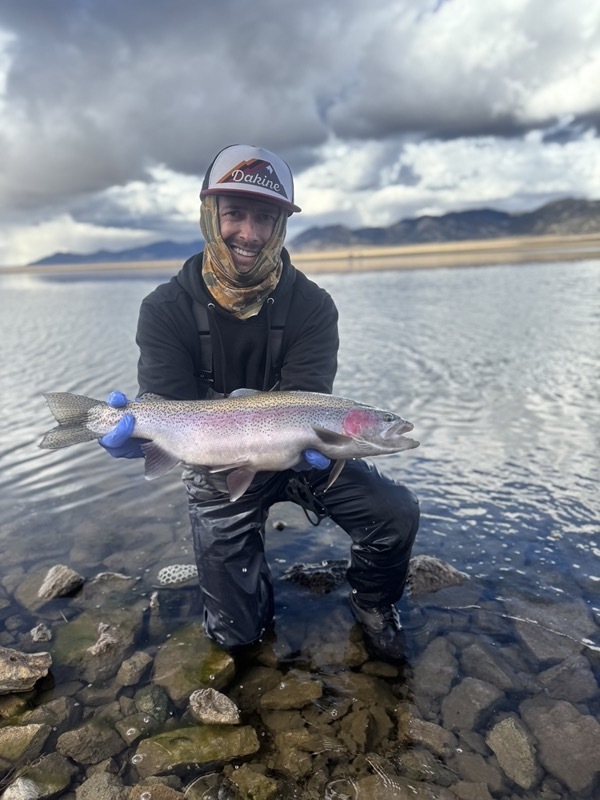 Stillwater rainbow trout — balanced leech Colorado fly fishing
