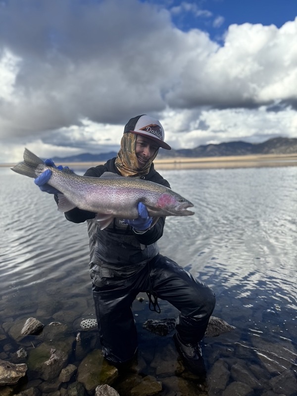 Trophy trout — indicator fly fishing Colorado stillwater